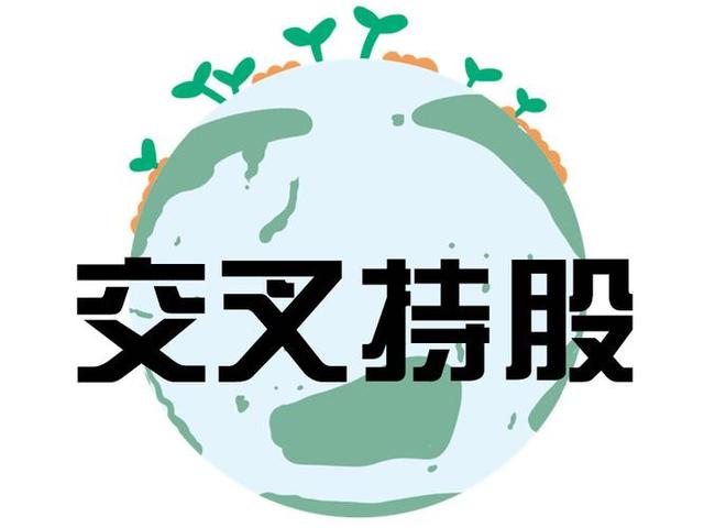 交叉持股安排设计(交叉持股怎么计算持股比例)嘉义市